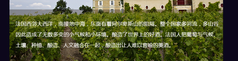法國(guó)紅酒整箱拉菲傳奇波爾多法定產(chǎn)區(qū)紅葡萄酒750ml